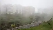 Neblina en Lima: Senamhi revela pronóstico y SUTRAN advierte sobre accidentes