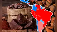 El país que superó a Brasil como el mayor productor de cacao en América Latina y es el tercero en el mundo
