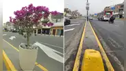 López Aliaga renueva av. Perú en SMP, pero trabajadores municipales se llevan las macetas tras ceremonia