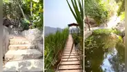¿Sabías que uno de los distritos más poblados de Lima tiene una selva escondida?: la entrada cuesta S/6