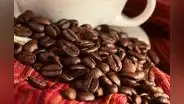 Cafetaleros peruanos cierran acuerdos por US$5 millones hacia principales mercados globales