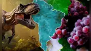 Las uvas aparecieron en 2 países de Sudamérica gracias a la extinción de los dinosaurios, según estudio