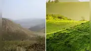 El desierto en Lima que florece durante el invierno: ¿cómo llegar a este paraíso verde con menos de S/30?