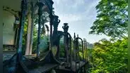 El MÁGICO JARDÍN, considerado tesoro escondido de la selva mexicana, que parece sacado de 'El Señor de los Anillos'