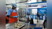 EsSalud brinda un subsidio por incapacidad temporal: conoce los requisitos y cómo acceder si eres asegurado