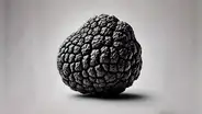 El hongo comestible, el "diamante de la cocina", crece en Sudamérica y es el cultivo más rentable del mundo