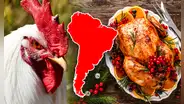 El país de Sudamérica con el mayor consumo de pollo en toda la región: supera a Perú y Brasil con 48 kg por persona