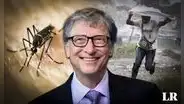 Sudamérica tiene el país más lluvioso del mundo: Bill Gates financia un proyecto para erradicar el dengue