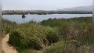 Chorrillos: encuentran un feto abandonado a pocos metros de los Pantanos de Villa