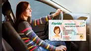 Licencia de conducir en Florida: esta es la nueva medida que entrará en vigor a fines de julio
