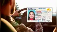 Licencia de conducir en California: cómo acceder GRATIS al Real ID del DMV en Estados Unidos