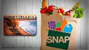 Cupones SNAP 2024: conoce la NUEVA FECHA y estados que brindarán el pago en Estados Unidos