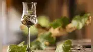 Día Nacional del Pisco: ¿por qué se celebra HOY, domingo 28 de julio?