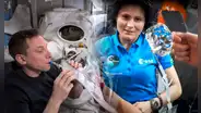 Científicos de Estados Unidos crean aparato para reciclar orina y beberla: astronautas dejarán de usar pañales