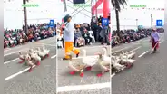 Adulta mayor desfila con sus gansos por Fiestas Patrias en Mollendo y usuarios bromean: “Son patóticos”