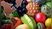Descubre los 5 países que exportan la mayor cantidad de frutas a todo el mundo: 3 están en América