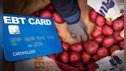 SNAP en Illinois 2024: estas son las FECHAS de pago en agosto del cupón de alimentos en Estados Unidos