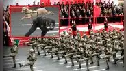 Perritos de la Brigada Canina del PNP ya no fueron parte de la Gran Parada Militar 2024