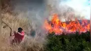Incendio forestal en Huánuco arrasa más de 150 hectáreas de bosques y afecta a menor