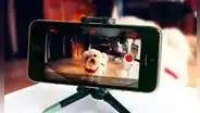 ¿Tienes un celular antiguo? Así puedes volverlo una cámara de vigilancia para tus mascotas