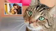 Día Internacional del gato 2024: ¿por qué se celebra este 8 de agosto y en otras dos fechas más en el año?