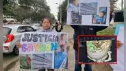 VMT: menor de 6 años va al dentista y termina con una aguja en la cabeza en hospital de Essalud