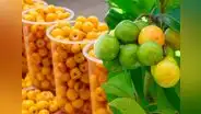 Esta es la fruta, considerada como 'alimento de oro', que reduce las arrugas y puedes consumirla como batido