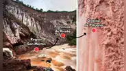 El tesoro de la selva peruana que data desde hace 200 millones de años: se utiliza en el tacacho y la cecina