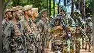 Este es el ÚNICO país de Sudamérica considerado potencia militar en ascenso: no es Brasil ni Argentina
