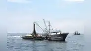 Produce: Decreto para la prevención de la pesca ilegal se publicaría el 15 de agosto