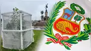 Emblemático árbol de la quina es robado de la Plaza de Armas de Trujillo por desconocidos: arbóreo tenía 4 años
