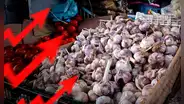 Sube precio del ajo en el Perú: ¿cuánto cuesta el kilo en Lima y regiones?