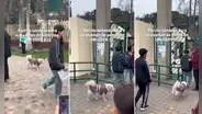 Captan a perrito ingresando a la UNI y usuarios bromean: “Va a dar su examen de admisión”