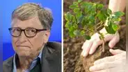 Bill Gates no cree que plantar árboles solucione el cambio climático: "Es un completo sinsentido"
