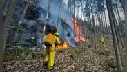 Senamhi advierte riesgo de incendios forestales en Cusco, Puno, Arequipa y otras 10 regiones hasta el 19 de agosto