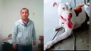 Policía asesina a balazos a perrita delante de su dueña adolescente en Lambayeque