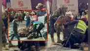 Caballo conmueve en Corso de la Amistad de Arequipa debido a que se resistía a pararse por cansancio