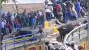 Fiesta patronal en Cusco casi termina en tragedia: toro saltó del ruedo y embistió a 9 personas en su huida