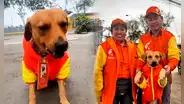 ¡Un héroe! Perrito que frustró robo en grifo en Comas fue ‘contratado’ por Primax: antes era callejerito