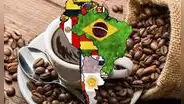 Este país de Sudamérica es el rey del café mundial: supera a gigantes como Perú y Brasil