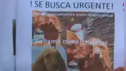 Joven mesera renuncia a su trabajo para buscar a su perrita perdida en SJM: “Se ha ido una parte de mi vida”