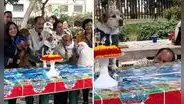 Peruano celebra a lo grande el cumpleaños de su perro con amigos del parque en Lima