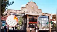 Resultados examen de admisión UNH 2025-I: revisa lista de ingresantes a la Universidad Nacional de Huancavelica