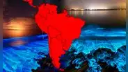 El único país de SUDAMÉRICA donde el MAR BRILLA y alberga una especie en peligro de extinción