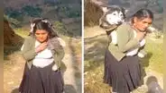 Adulta mayor lleva cargado en su espalda a su perro enfermo hasta la ciudad en busca de veterinario