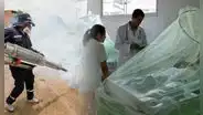 Casos de dengue en 2024 alcanzan el pico más alto de los 3 últimos años con más de 260.000 contagios