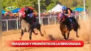 Traqueos del 5y6 La Rinconada HOY, 1 de septiembre: así quedaron los datos fijos de Gaceta Hípica y Cordialito
