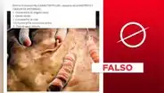 El Helicobacter pylori no se “elimina” con el consumo de “poderosa receta natural”