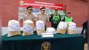 La ruta de la cocaína desde Áncash hacia Europa en cajas para paltas: hallan 280 kg valorizados en US $600.000