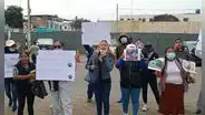 Animalistas de Tacna en peligro: denuncian amenazas luego de acusar a criadero ilegal